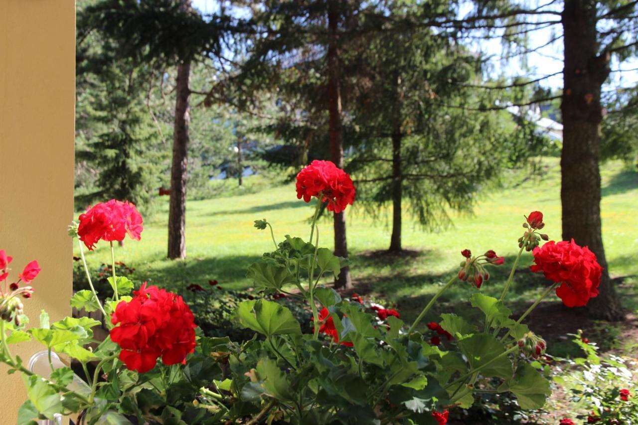 Hotel President Garni Zlatibor Eksteriør bilde